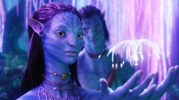 The movie is scheduled to be shown next year 