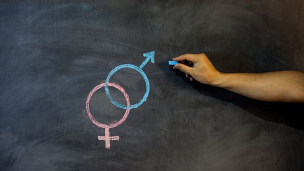 education authorities were accused of making creating a sex education curriculum