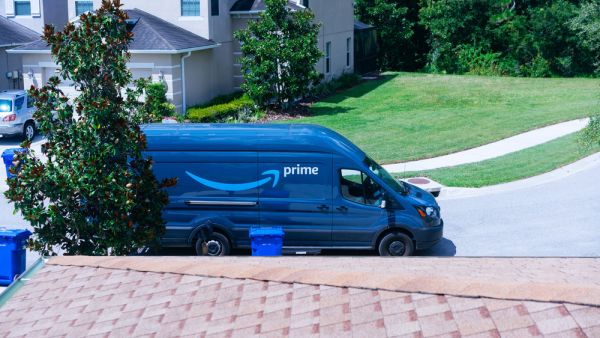 Amazon driver puts herself front rampaging pit bull in order to save customer's daughter