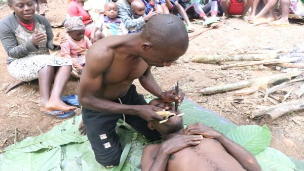 شحذ الأسنان.. تقليد متوارث لأقزام البيغمي بأفريقيا