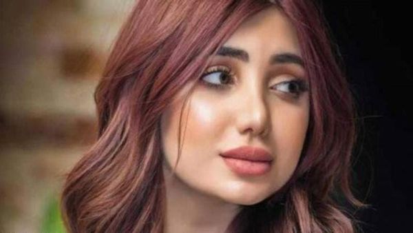 تارة الفارس