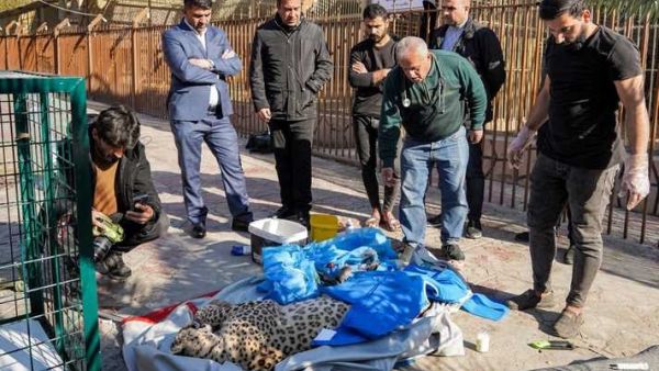 كردستان العراق