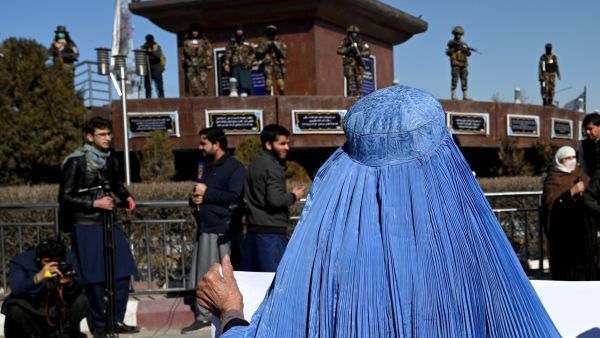 government members killed 