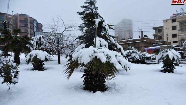 ثلوج في سوريا