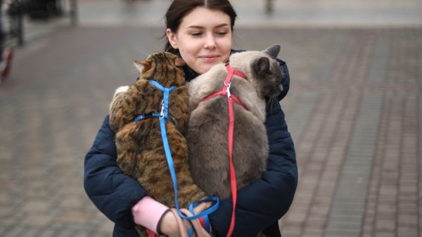 Ukrainian Refugees 