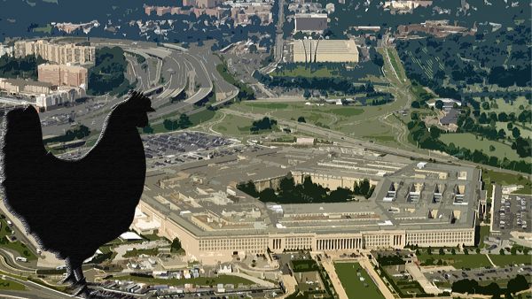 The chicken tried to enter the Pentagon