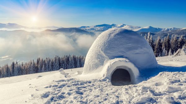 igloo cafe 