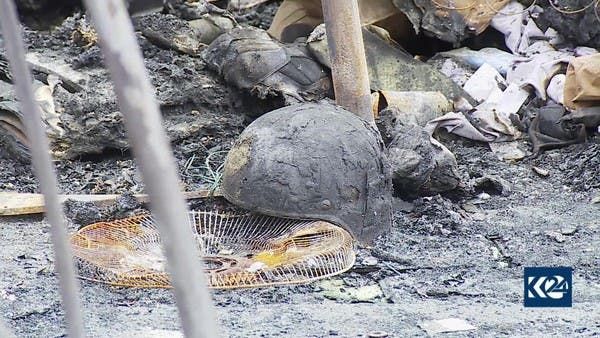 جاء القصف وفق ما اعتبرته ايران ردا على مصرع ضابطين كبيرين من مليشيا الحرس الثوري 