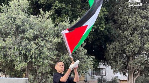 Palestinian boy raises the Palestinian flag