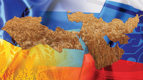 MENA Countries Food Crisis