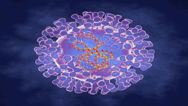 جدري القردة يواصل انتشاره عالميا ويصل فنلندا