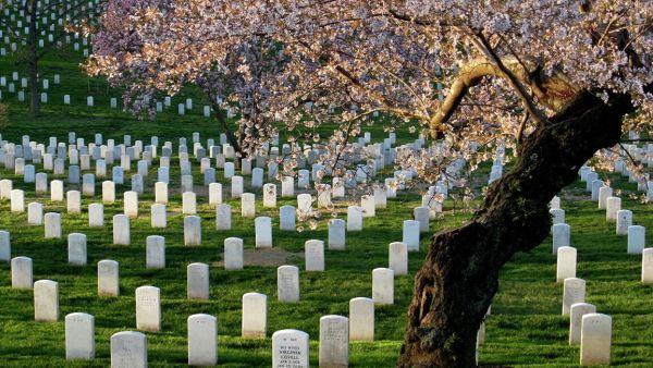 اعتداء على مقبرة تضم رفات مسلمين وأرثوذوكس بالسويد