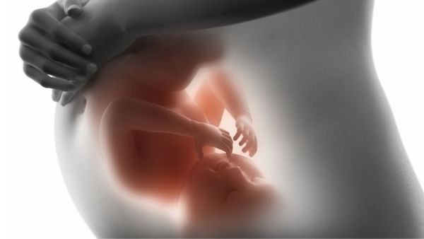 طبيب البوابة: 5 أخطاء ترتكبها النساء أثناء الحمل طبيب البوابة: 5 أخطاء ترتكبها النساء أثناء الحمل