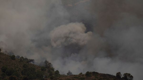 wildfire 