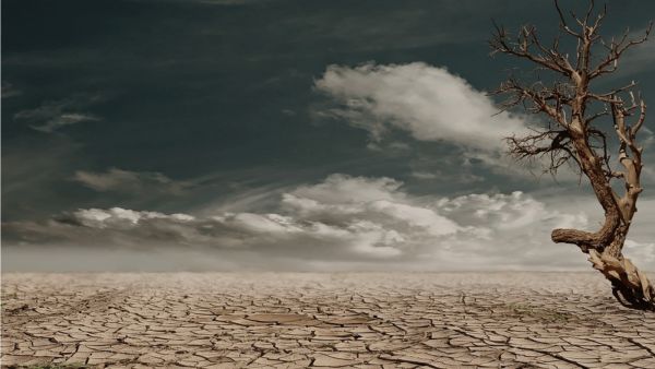 معنى ورمزية الجفاف في الأحلام معنى ورمزية الجفاف في الأحلام