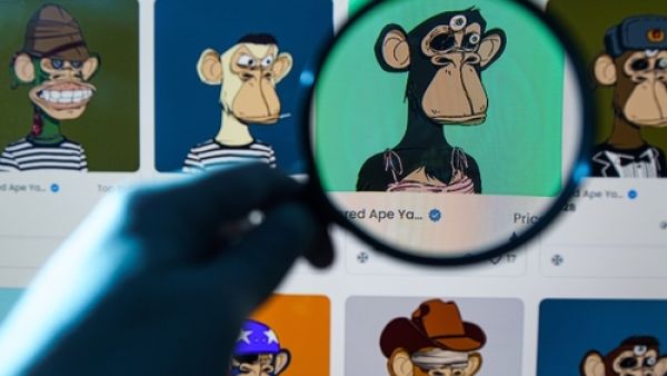 كل ما تحتاج إلى معرفته لشراء NFTs