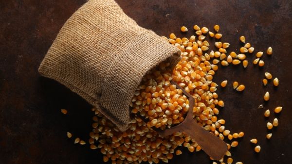 popcorn granulate