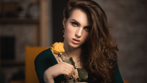 المعنى الرمزي للورود الصفراء الزاهية
