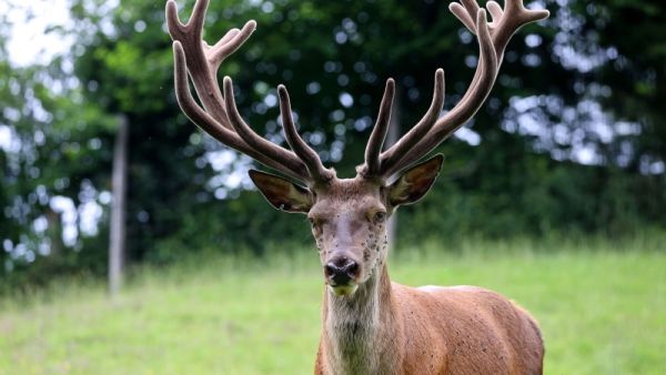 تيرول النمساوية تبهر الزوار بتضاريس جبال الألب الخلابة