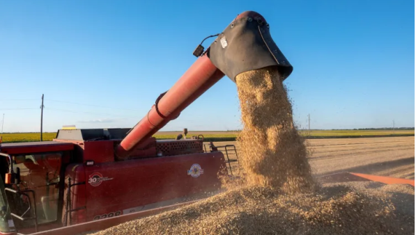 How do you get the wheat out of Ukraine?