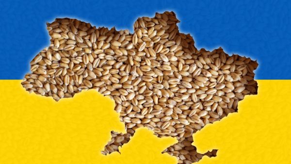 Ukraine to Resume Grain Exports, Safety Remains A Concern: S&P