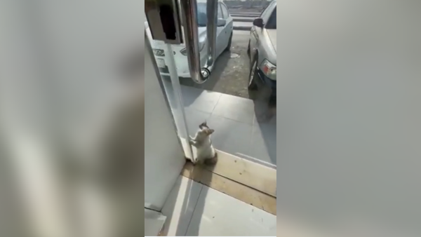 Get me in! 