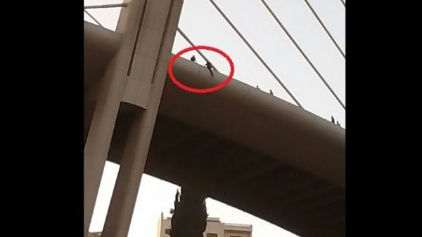  معدلات الانتحار في الأردن في العام الحالي 65 حالة، منها 45 حالة من الذكور و 20 من الإناث