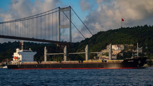 2 more ships carrying over 70,000 tons of grain leave Ukraine