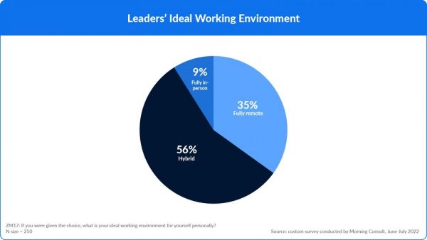 Leaders Ideal Working Environment. Survey Reveals That Executives Prefer Flexible Working Options for Themselves