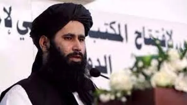 ذبيح الله مجاهد