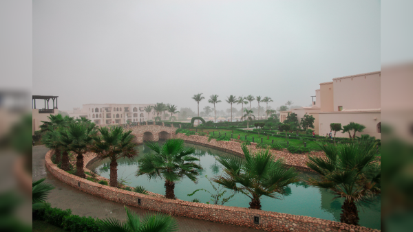 Destination Dhofar: The tropical side of Oman