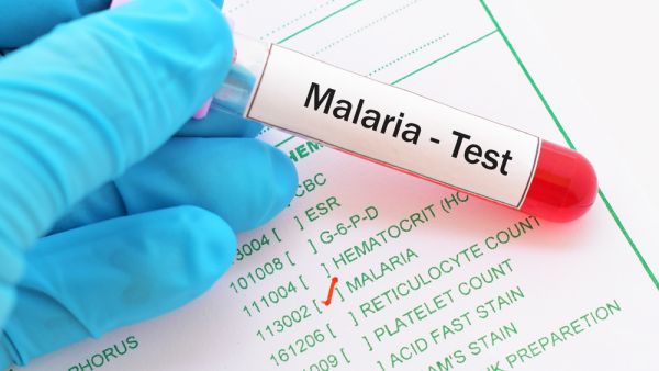 Malaria