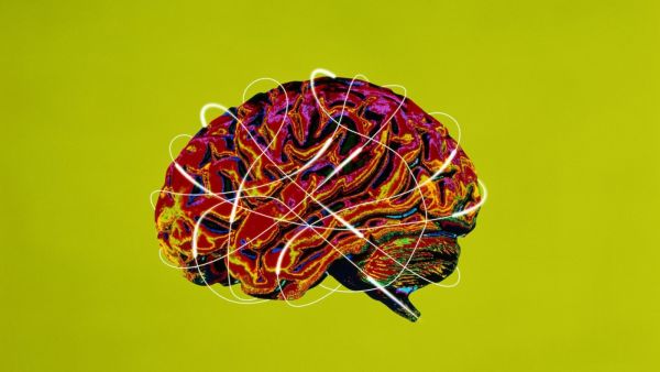 6 عادات للأشخاص أصحاب معدل الذكاء المرتفع