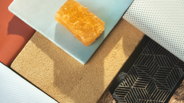 On the Market for 2023: BMW and Mini Models With Vegan Interiors.