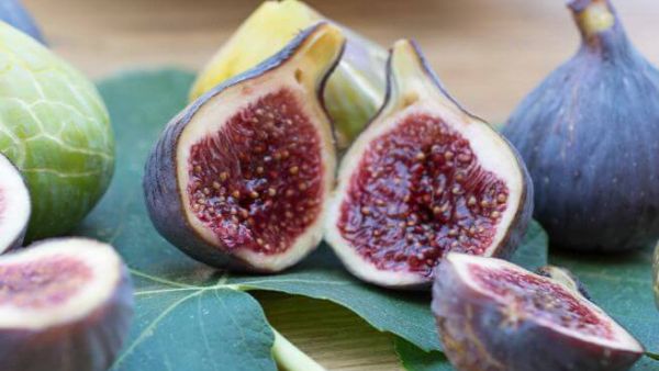 تفسير رؤية التين في المنام