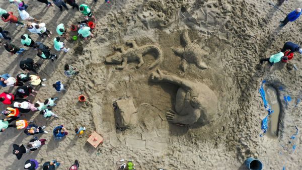 سان فرانسيسكو.. تماثيل رملية ملفتة للأنظار