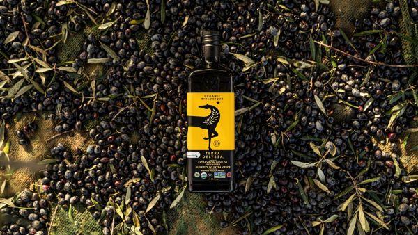 CHO Group products exported globally to 50 countries. Gulf Capital Announces Successful Exit from Global Olive Oil Producer CHO Group, a Leader in Sustainable Farming in North Africa.