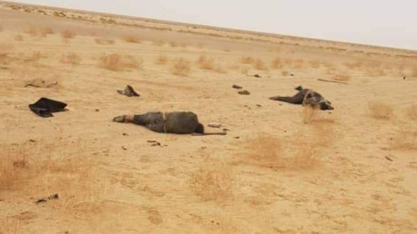 مصدر للبوابة: المغرب قتل موريتانيين بالدورنات
