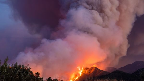 Combatting climate change 