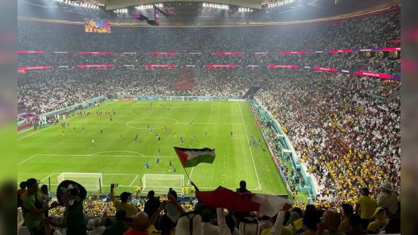 Qatar World Cup 2022