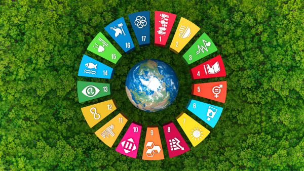 Sustainable Development Goals