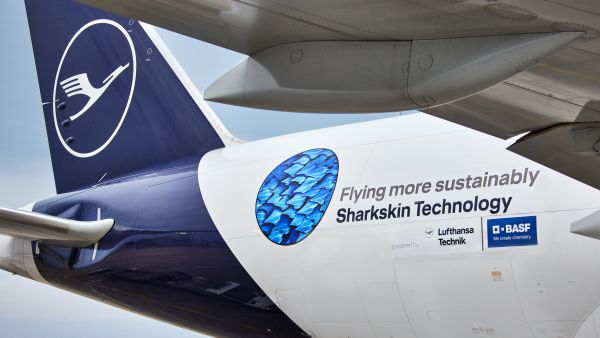 Sharkskin on airplane
