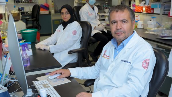 باحثون من وايل كورنيل للطب - قطر يكتشفون الآليات المؤدّية للالتهاب في أمراض السمنة والسرطان والسكري من النوع الثاني