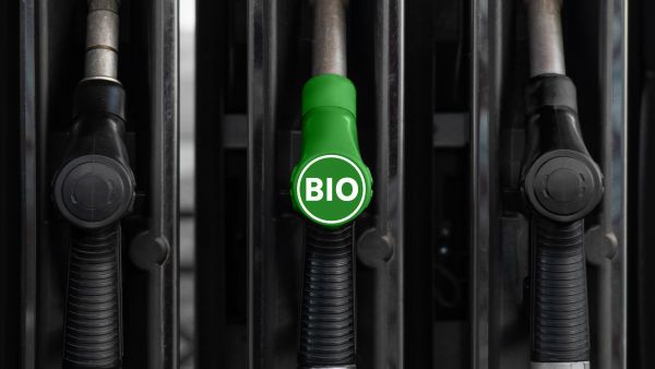 Oman date kernel biofuel