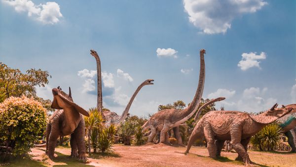 dinosaurs 