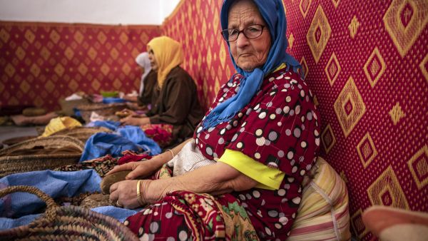 Argan nuts for cosmetics 