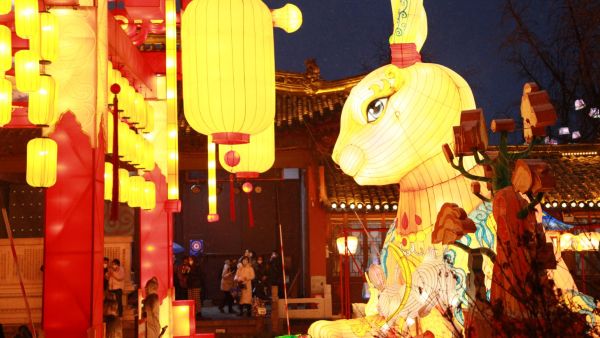 Year of the Rabbit