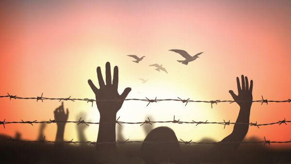 Human rights 