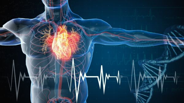 طبيب البوابة: مؤشرات النوبة القلبية غير المألوفة