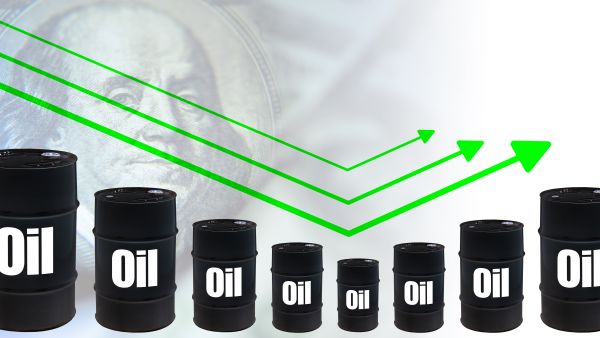 Oil rebounds